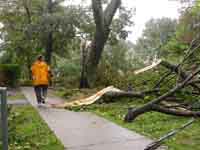 Halifax after Hurricane Juan