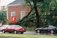 Halifax after Hurricane Juan