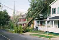 Halifax after Hurricane Juan