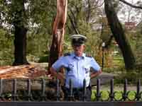 Public Gardens after Hurricane Juan